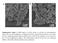 Supplementary Figure 1. SEM images of LiCoO 2 before (a) and after (b) electrochemical tuning. The size and morphology of synthesized LiCoO 2 and