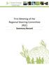 First Meeting of the Regional Steering Committee (RSC) Summary Record