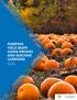 PUMPKIN YIELD MAPS USING DRONES AND MACHINE LEARNING. Oct. 27, 2017 Raptor Maps