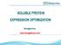 SOLUBLE PROTEIN EXPRESSION OPTIMIZATION