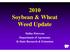 2010 Soybean & Wheat Weed Update. Dallas Peterson Department of Agronomy K-State Research & Extension