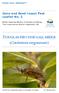 DOUGLAS-FIR CONE GALL MIDGE (Contarinia oregonensis)