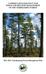 CONSERVATION STRATEGY FOR WHITE AND RED PINE MANAGEMENT ON THE TIMISKAMING FOREST Timiskaming Forest Management Plan