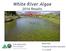 White River Algae 2016 Results. Mindi May Prepared by Kelsi Antonelli 1/11/2018