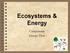 Ecosystems & Energy. Components Energy Flow