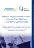 Beyond Registration Numbers: Increase Your Revenue Leveraging Domain Data
