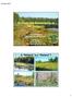 Ecology and Stewardship of NH Wetlands