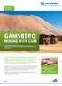 GAMSBERG: MINING WITH CARE
