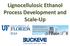 Lignocellulosic Ethanol Process Development and Scale-Up