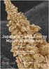Japanese Swiss Energy Material Workshop. 7-9 March Empa Akademie Dübendorf, Switzerland