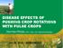 DISEASE EFFECTS OF PUSHING CROP ROTATIONS WITH PULSE CROPS