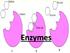 Enzymes Anabolic Catabolic. Keywords