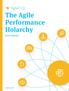 The Agile Performance Holarchy
