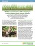 Wildlife Considerations When Haying or Grazing Native Warm-Season Grasses