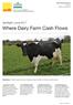 Where Dairy Farm Cash Flows