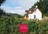 North Hill Forest Cottage & Woodland. Garve, Ross-shire