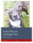 Hope Rescue Strategic Plan. 2015/16 to 2017/18. Board of Trustees 8/18/15