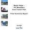 Maple Ridge Pitt Meadows Area Transit Plan. Final Summary Report