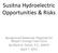Susitna Hydroelectric Opportunities & Risks
