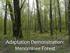 Adaptation Demonstration: Menominee Forest