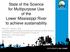 State of the Science for Multipurpose Use of the Lower Mississippi River to achieve sustainability