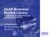OLAP Business Metrics Library