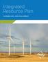 Integrated Resource Plan NOVEMBER EXECUTIVE SUMMARY