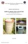 ROBUST ARSENIC BIO-SAND FILTER (RCC with High Grade Concrete)