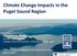 Climate Change Impacts in the Puget Sound Region Lara Whitely Binder