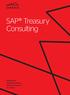 SAP Treasury Consulting