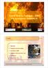 Forest Fires in Portugal 2005 An economic approach