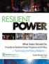 Resilient. What States Should Do: A Guide to Resilient Power Programs and Policy. Summary for Policy Makers