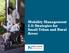 Mobility Management 2.0: Strategies for Small Urban and Rural Areas