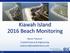 Kiawah Island 2016 Beach Monitoring