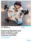 Exploring Big Data and Data Analytics with Hadoop and IDOL. Brochure. You are experiencing transformational changes in the computing arena.