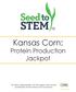 Kansas Corn: Protein Production Jackpot