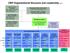 CBP Organizational Structure and Leadership
