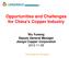 Opportunities and Challenges for China s Copper Industry