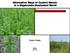 Alternative Ways to Control Weeds in a Glyphosate-Dominated World SIU