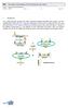 BP-reaction (recombination of PCR products into entry vector) Created on: 06/01/10 Version: 1.1 No.: 1 Page 1 of 6