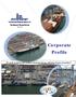 Corporate Profile. We set the standards in the Caribbean stevedoring industry, celebrating 50 years of experience. International Shipping Agency, Inc.