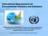 International Requirements for Environmental Statistics and Indicators