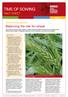 time of sowing Balancing the risk for wheat fact sheet