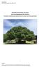 Bracknell Forest Homes Tree Policy and 5 year Management Plan ( )