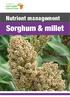 Nutrient management. Sorghum & millet