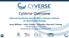 CyVerse Overview. National Academies Special Topics Summer Institute on Quantitative Biology