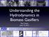 Understanding the Hydrodynamics in Biomass Gasifiers