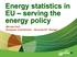 Energy statistics in EU serving the energy policy. Michael Goll European Commission Eurostat E5 Energy