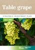 Table grape STRATEGIC INVESTMENT PLAN