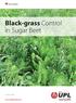 Black-grass Control in Sugar Beet